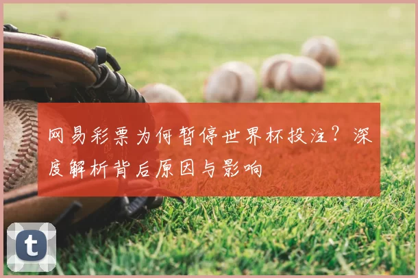 网易彩票为何暂停世界杯投注?深度解析背后原因与影响