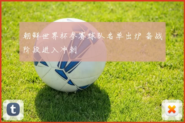 朝鲜世界杯参赛球队名单出炉 备战阶段进入冲刺