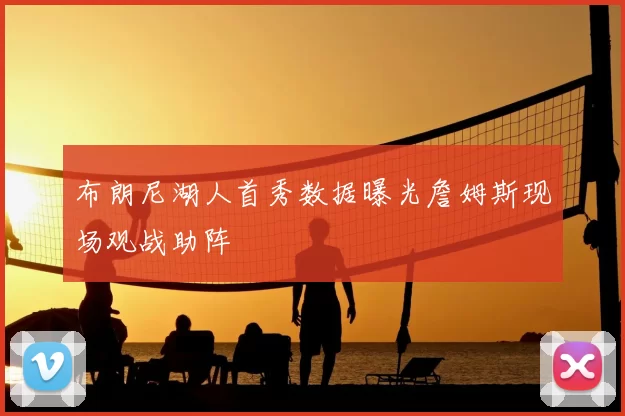布朗尼湖人首秀数据曝光詹姆斯现场观战助阵