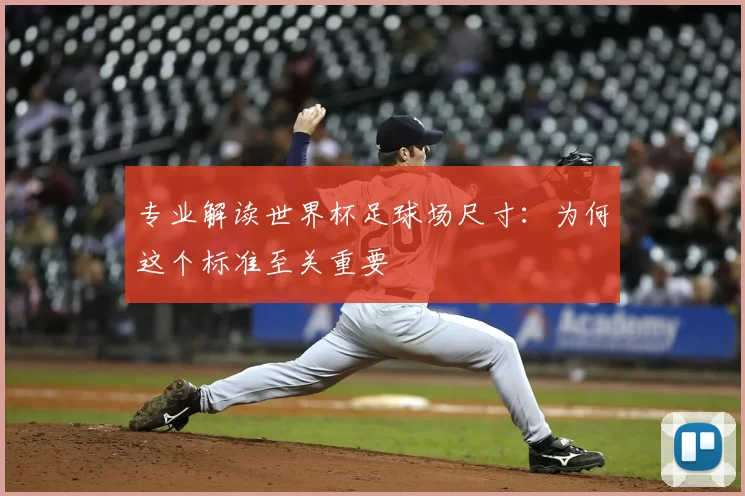 专业解读世界杯足球场尺寸：为何这个标准至关重要