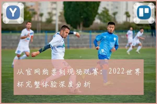 从官网购票到现场观赛:2022世界杯完整体验深度分析