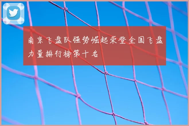 南京飞盘队强势崛起荣登全国飞盘力量排行榜第十名