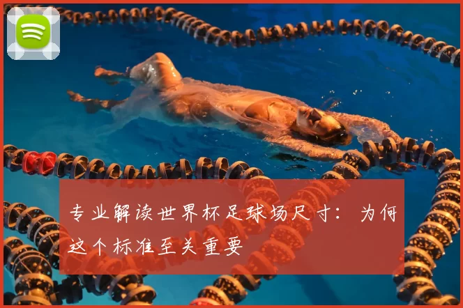 专业解读世界杯足球场尺寸：为何这个标准至关重要