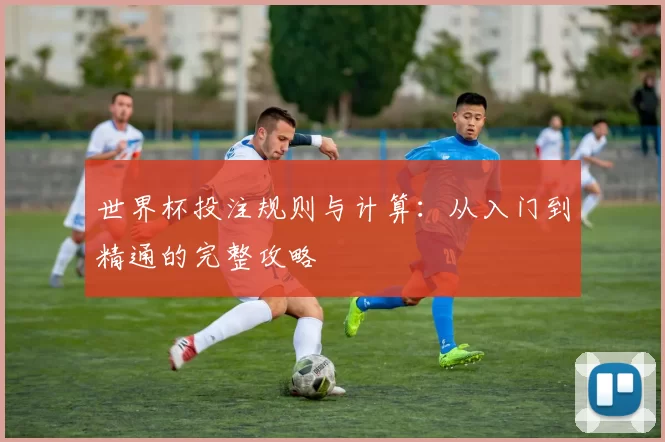 世界杯投注规则与计算:从入门到精通的完整攻略