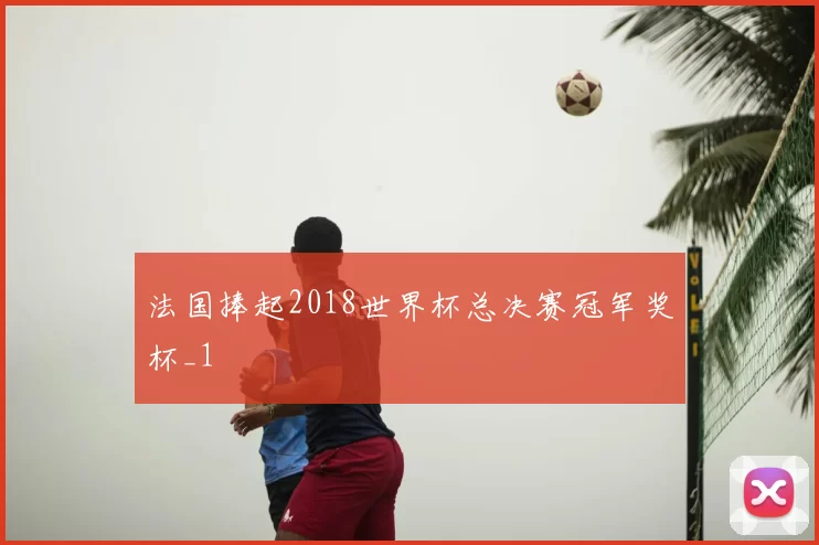 法国捧起2018世界杯总决赛冠军奖杯_1