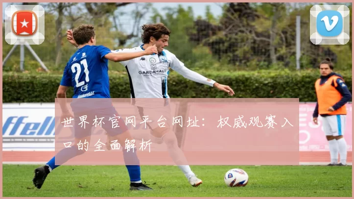 世界杯官网平台网址:权威观赛入口的全面解析