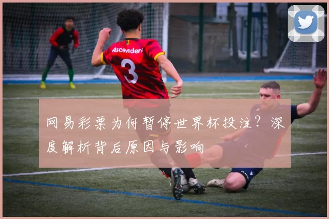 网易彩票为何暂停世界杯投注?深度解析背后原因与影响