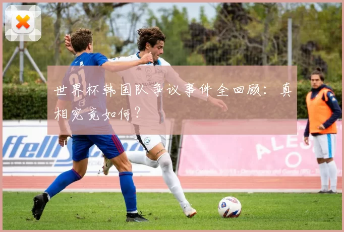 世界杯韩国队争议事件全回顾:真相究竟如何?